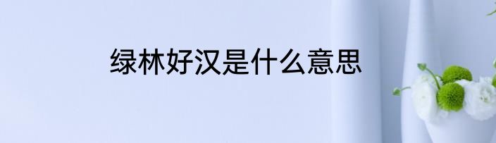 绿林好汉是什么意思