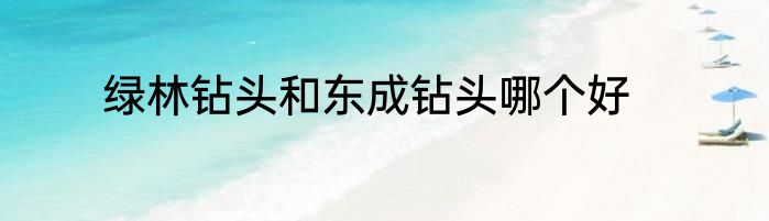 绿林钻头和东成钻头哪个好