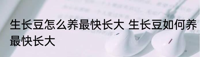 生长豆怎么养最快长大 生长豆如何养最快长大