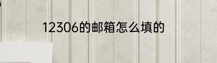 12306的邮箱怎么填的