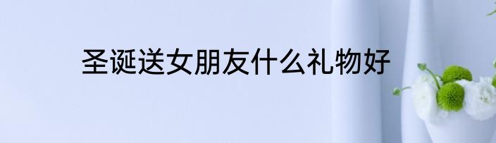 圣诞送女朋友什么礼物好