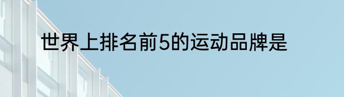 世界上排名前5的运动品牌是