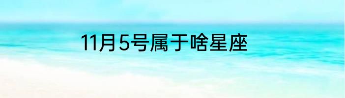 11月5号属于啥星座