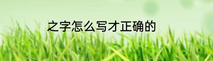 之字怎么写才正确的