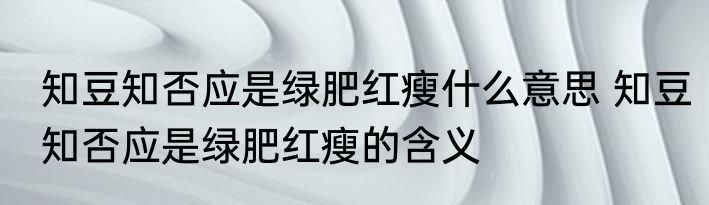知豆知否应是绿肥红瘦什么意思 知豆知否应是绿肥红瘦的含义