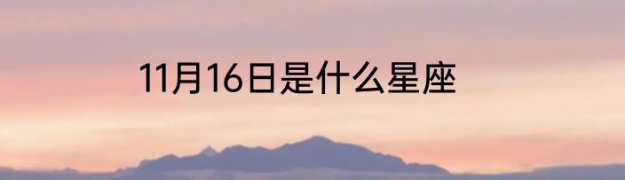 11月16日是什么星座