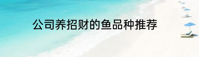 公司养招财的鱼品种推荐