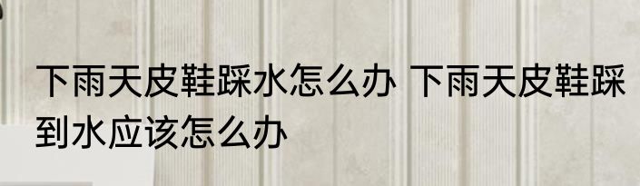 下雨天皮鞋踩水怎么办 下雨天皮鞋踩到水应该怎么办