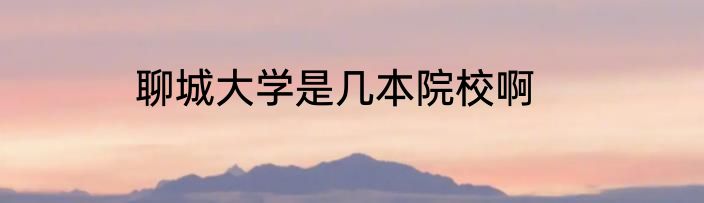 聊城大学是几本院校啊
