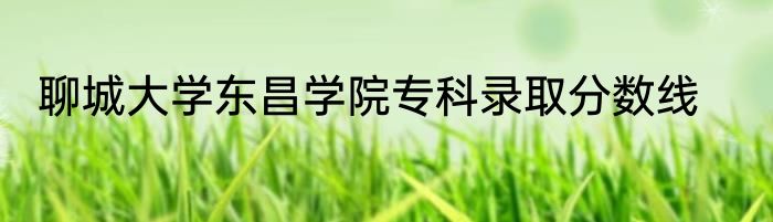 聊城大学东昌学院专科录取分数线