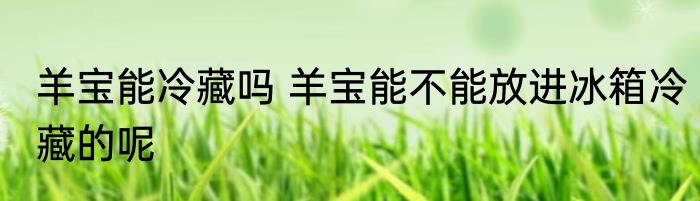 聊城大学东昌学院怎么样好不好