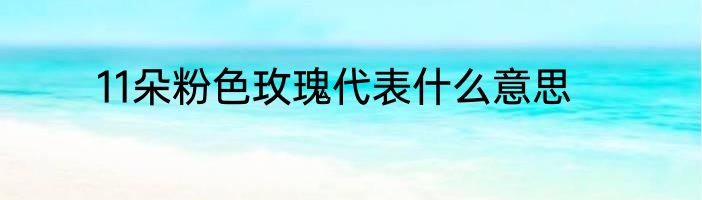11朵粉色玫瑰代表什么意思