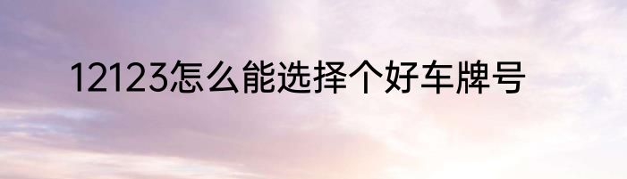 12123怎么能选择个好车牌号