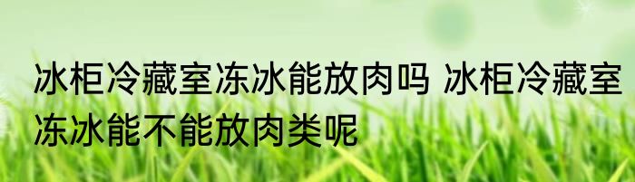 冰柜冷藏室冻冰能放肉吗 冰柜冷藏室冻冰能不能放肉类呢
