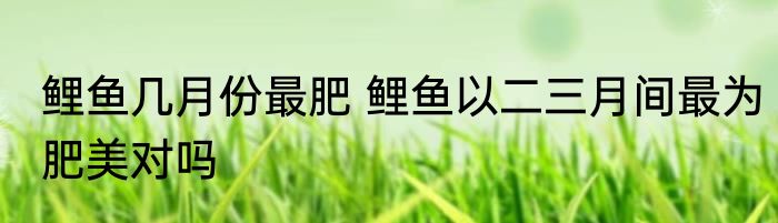 ladies怎么读 ladies如何读
