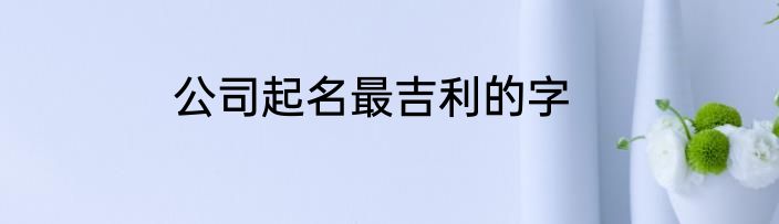 公司起名最吉利的字