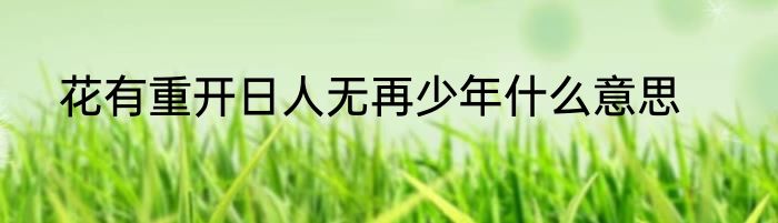 花有重开日人无再少年什么意思