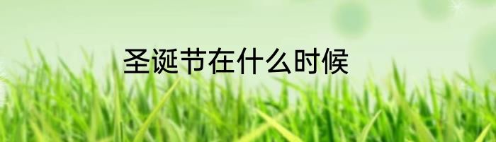 圣诞节在什么时候