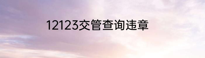 12123交管查询违章