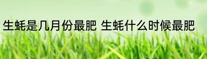生蚝是几月份最肥 生蚝什么时候最肥