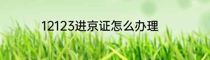 12123进京证怎么办理