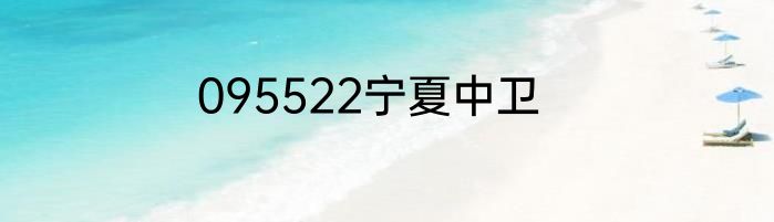 095522宁夏中卫