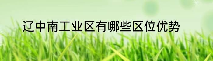 辽中南工业区有哪些区位优势