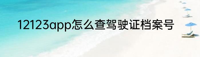 12123app怎么查驾驶证档案号