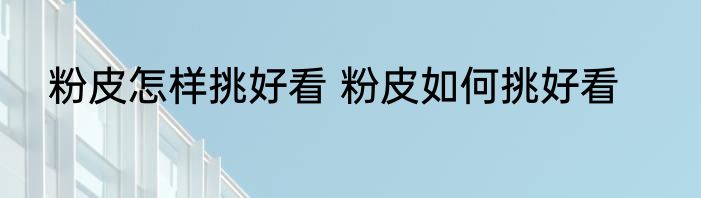 粉皮怎样挑好看 粉皮如何挑好看