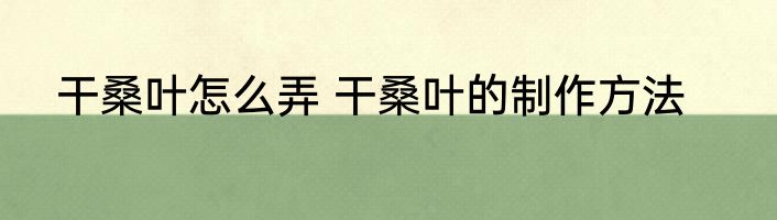 干桑叶怎么弄 干桑叶的制作方法
