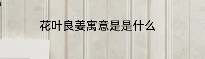 花叶良姜寓意是是什么