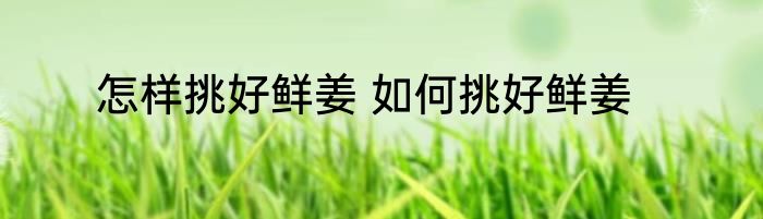 怎样挑好鲜姜 如何挑好鲜姜