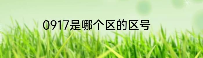 0917是哪个区的区号