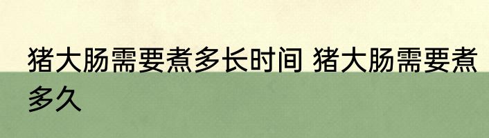 猪大肠需要煮多长时间 猪大肠需要煮多久