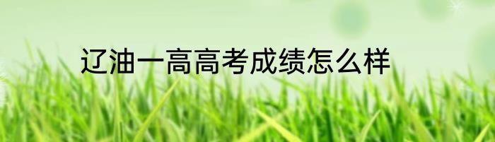 辽油一高高考成绩怎么样