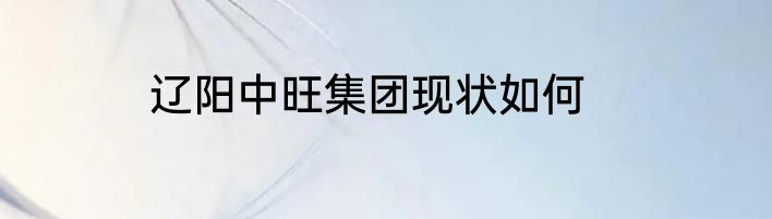 辽阳中旺集团现状如何