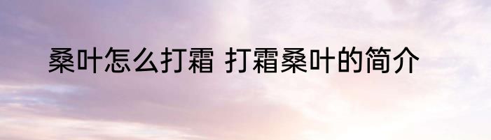桑叶怎么打霜 打霜桑叶的简介