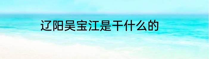 辽阳吴宝江是干什么的