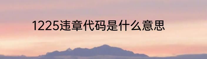 1225违章代码是什么意思