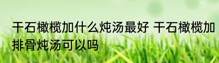 干石橄榄加什么炖汤最好 干石橄榄加排骨炖汤可以吗