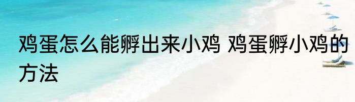 鸡蛋怎么能孵出来小鸡 鸡蛋孵小鸡的方法