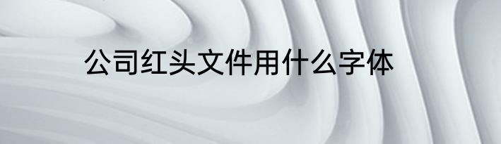 公司红头文件用什么字体