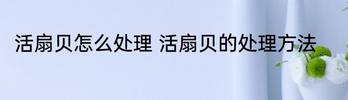 活扇贝怎么处理 活扇贝的处理方法