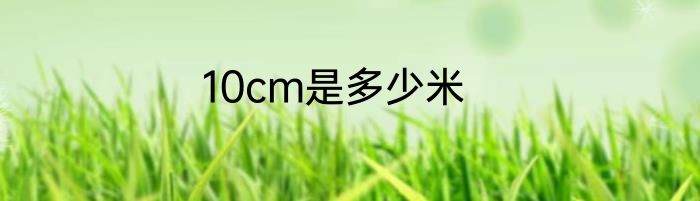 10cm是多少米