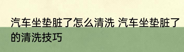 汽车坐垫脏了怎么清洗 汽车坐垫脏了的清洗技巧