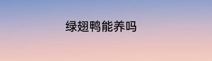 绿翅鸭能养吗