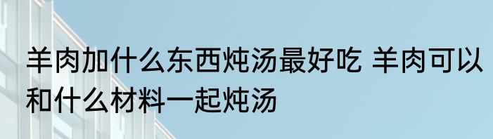 羊肉加什么东西炖汤最好吃 羊肉可以和什么材料一起炖汤