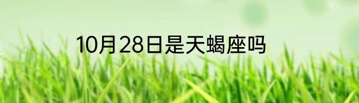 10月28日是天蝎座吗