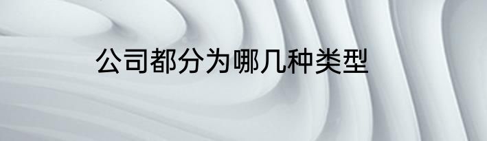 公司都分为哪几种类型