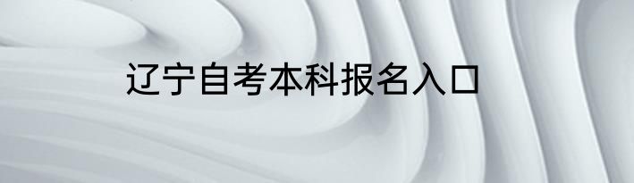 辽宁自考本科报名入口